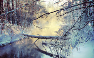 Snowy river forest winter archip - snow next free wallpaper