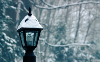 Snowy forest streetlight blurry winter - a few branch free wallpaper