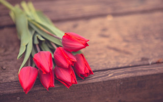 Red flowers wooden table bouquet - bracha l. ettinger free wallpaper