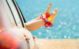 Woman legs car window flower - a car window free wallpaper