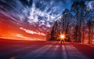 Sunset clouds trees red sky - mystical free wallpaper