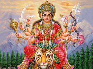 Person sitting tiger sword hand - a tiger free wallpaper
