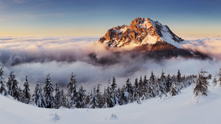 Mountain clouds trees snow forest - peak free wallpaper