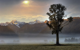 Lone tree mountains sunset lake - the background and a sun free wallpaper