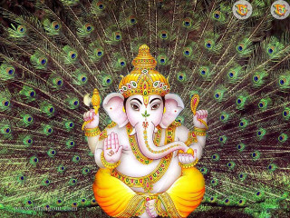 Ganesha peacock feathers grass statue - a field of grass free wallpaper