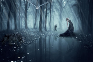 Man wolf forest clock hanging - surreal photography free wallpaper