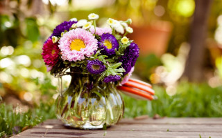 Vase purple white flowers garden - bracha l. ettinger free wallpaper