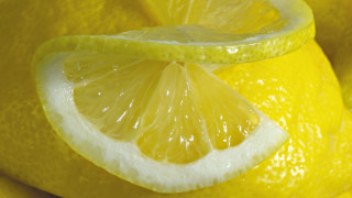 Lemon slice closeup whole background 2 - whole free wallpaper