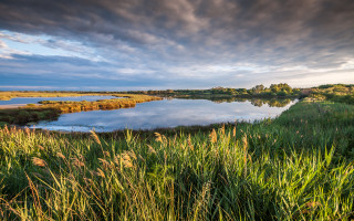 River trees grass clouds nature - beautiful landscape free wallpaper