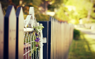 Fence flower street house shallow - a house in the background free wallpaper