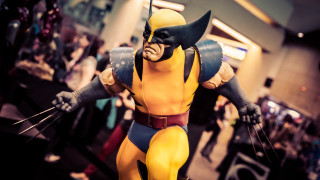 Wolverine man room multiple people - full free wallpaper