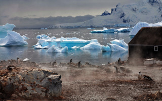Penguins icebergs rocks house sunset - a group of penguins free wallpaper