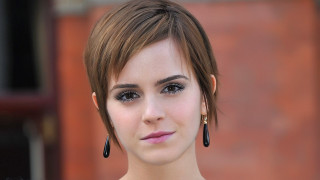Woman elegant brickwall shorthair portrait - a brick wall in the background free wallpaper
