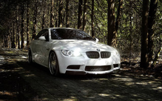 White car forest road city - photorealistic lighting free wallpaper
