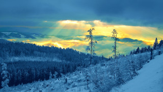 Snowy mountain trees sunset city - crepuscular ray free wallpaper