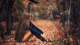 Woman woods wind bird autumn - overhead in the background free wallpaper