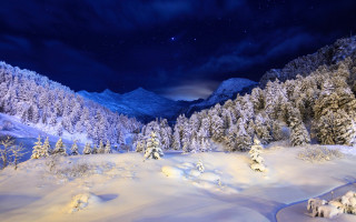Snowy mountain trees night starry - night time free wallpaper