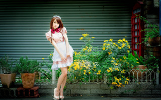 Woman dress scarf flower fence - flower free wallpaper