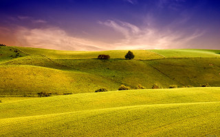 Green field trees clouds sunset 3 - a green field free wallpaper