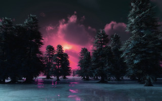 Sunset forest reflection synthwave nature - tree and water free wallpaper