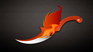 Red orange bird shadow fantasy - a long tail free wallpaper for desktop