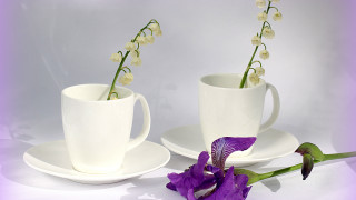 Purple flower white cup saucer - still free wallpaper