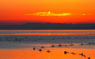 Sunset water birds mountains beach - a sunset over a body of water free wallpaper