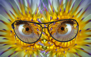 Flower glasses explosion summer sunflower - a pair of glasses free wallpaper