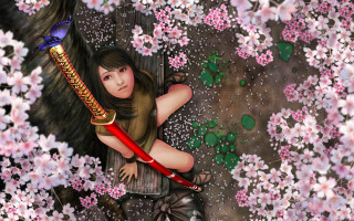 Girl sword flower field pink - a red handle free wallpaper