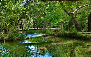 Bridge stream forest autumn ecological - a bridge over free wallpaper