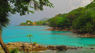Tropical beach blue lagoon palm - a tropical beach free wallpaper