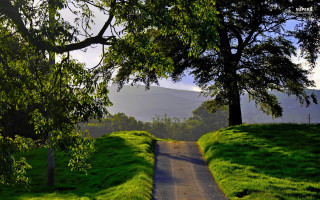 Adahillwalker landscape trees mountain park - ada hill walker free wallpaper for desktop