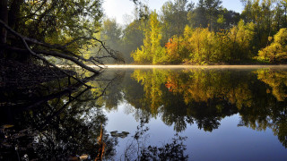 Lake fog reflections autumn fireworks - the water free wallpaper