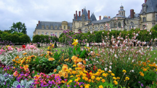 Flower garden cityscape architecture bridge - vivid free wallpaper