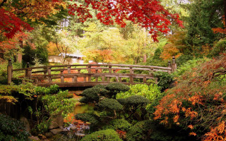 Bridge stream park autumn foliage - a house in the background free wallpaper