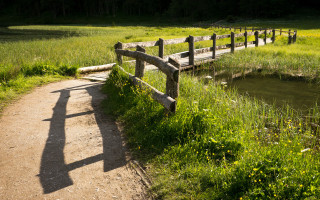 Wooden bridge stream field flowers - art free wallpaper