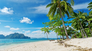Beach palm trees mountain clouds - a blue sky and some clouds free wallpaper