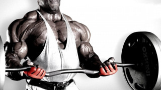 Muscular man barbell weight plate - in front free wallpaper