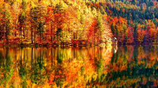 Autumn lake forest houses fire - the side of it free wallpaper