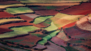 Field building birdseye saturated puzzle - choi buk free wallpaper for desktop