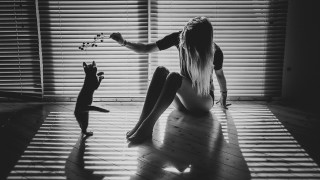 Woman cat blinds shadow art - a cat in front free wallpaper