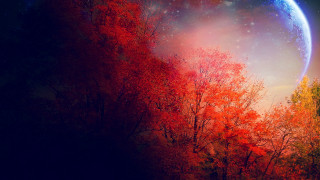Planet trees night stars autumn - a painting of a planet free wallpaper