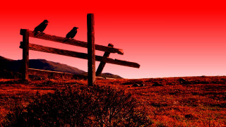 Red sky birds fence mountain - bird free wallpaper for desktop