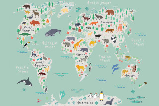 World map animals plants nature - a map of the world free wallpaper