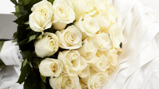White roses green leaves white - a bouquet free wallpaper