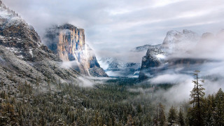 Mountain range valley forest snowy - a forest below free wallpaper