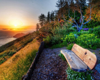 Bench hillside ocean sunset sunrise - beautiful landscape free wallpaper