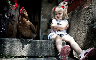 Little girl chicken bird flower - a ledge next free wallpaper