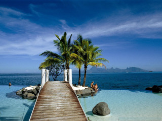 Wooden walkway beach palm trees 6 - palm tree and a body of water free wallpaper
