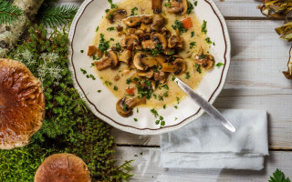Mushroom soup bowl spoon mushrooms - a spoon free wallpaper
